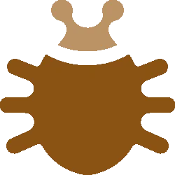 Spinne