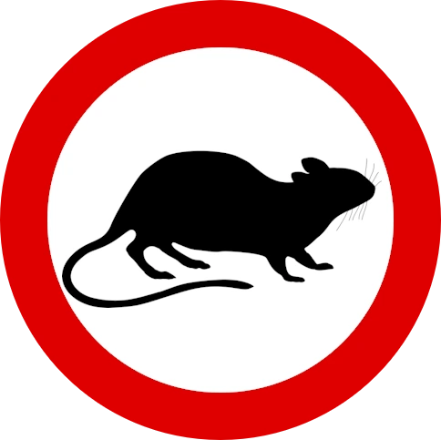 Nagetiere